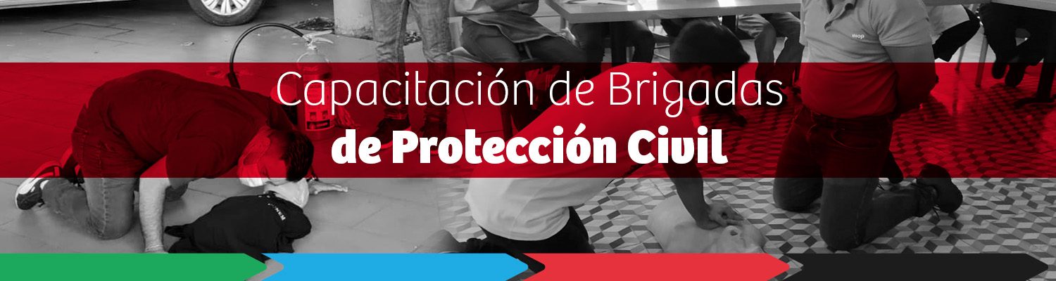 capacitacion de brigadas de proteccion civil-conem